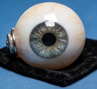 义眼片设计图片