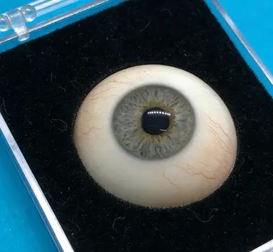 技师正在精心制作义眼片